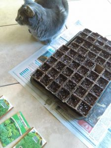 Bubbles Helping Me Sow