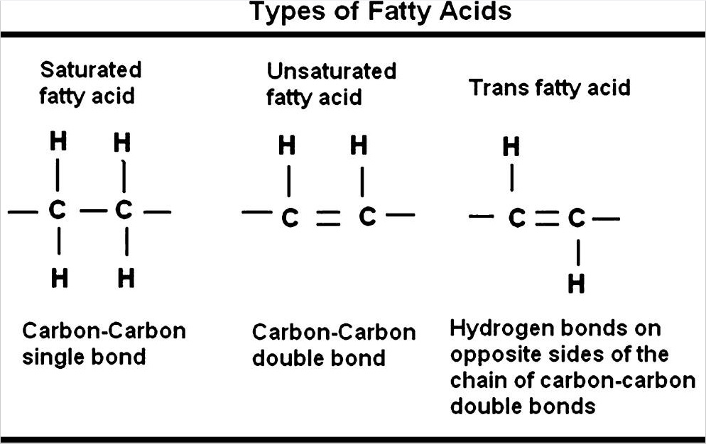 Trans Fat Molecular Structure 