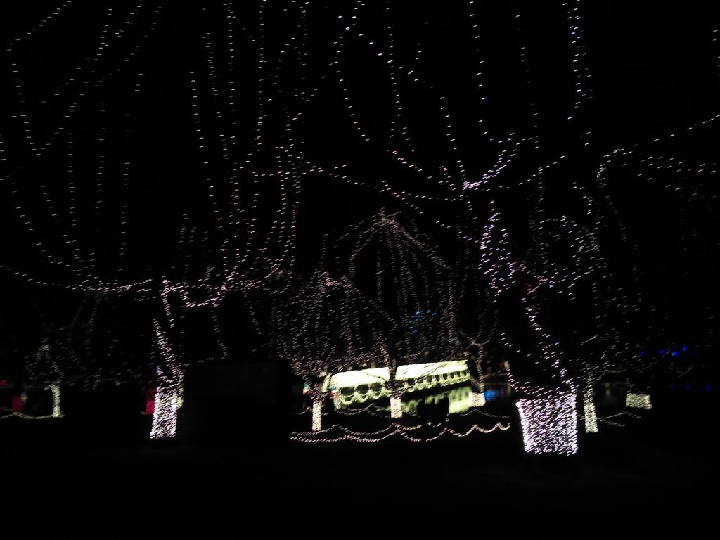 Chickasha Festival of Lights Makes Christmas Festive Dainty Kitty